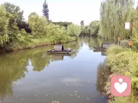 静坐湖畔，风拂垂柳，水映荷香。这一刻，快门按下的是无需言语的疗愈——湍急的思绪像被柔光过滤的湖水，棱角悄然消融，只余澄澈的涟漪。看那荷花亭亭，恰似内心被温柔照见的情绪；垂柳轻点水面，像极了接纳与觉察的触角。湖不语，却教会我们：真正的宁静，是心湖深处风止水澄的自察。愿这份被镜头定格的湖光，成为你我共有的“心灵长曝光”——让焦虑在静谧中沉淀，让力量在自然里生长。