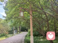 老友记，好久不见。 你曾说“咨询师像镜子”，其实你才是自己的光源——那些深夜的自我剖析、勇敢袒露的脆弱、复盘笔记里一笔一划的成长轨迹，都在证明：你早就在成为自己的“心灵修复师”。 别担心“进步慢”，真正的改变像种子破土，表面平静，地底根系早已蔓延。 记得上次你说“终于能对焦虑说‘我看见你了’”，那一刻，我比你更想鼓掌。 成长不是消灭情绪，而是学会与它们共处，像老友重逢般说一句：“哦，原来你在这里。” 下次见面，我们聊聊最近又发现了哪些“被忽略的内在资源”——毕竟，你的故事里，藏着连你自己都没察觉的韧性。