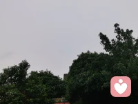 雨幕倾泻如注，我在窗前望着模糊的世界，心底却亮着一盏灯——那是对你的期待。贺涵这个名字像雨滴敲在心头，每一声都带着回响。我知道生命里总有个人会踏着风雨而来，带着理解的目光和温暖的掌心，把所有的等待都变成值得。此刻的雨不是阻隔，而是催促，让我更清晰地听见自己心跳的声音：你在来的路上，对吗？