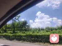 人生本来就没有什么意义，今天你快乐了，它才有了意义