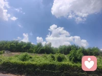 人生本来就没有什么意义，今天你快乐了，它才有了意义