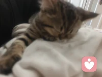 目前预计睡眠30天，再会