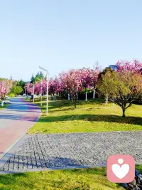 万般滋味皆是生活，心若无尘，岁岁安然。配图