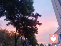 一个人一旦挣脱了怕失去和被理解这两条枷锁便拥有了整个世界。配图