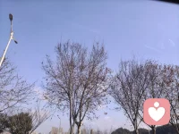 大家好！我是莫极，成年人的世界，总有很多说不出的委屈，深夜翻来覆去的焦虑，无人理解的内耗，这些情绪从来都不是“矫情”。
        我在这里，不评判，不打断，不催你“快点好起来”，只做你安静的树洞，陪你把心事慢慢说开。
       所有对话都是严格保密，你可以卸下所有的伪装，放心做最真实的自己。
       往后的日子里，愿我能陪你走出情绪的低谷，一起看见裂缝里的光。配图