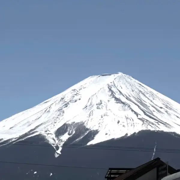 清绪