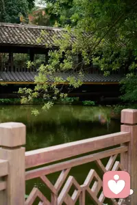 顺成人，逆成仙，玄妙只在颠倒间。
躲天意，避因果，诸般枷锁困真我。
顺天意，承因果，今日方知我是我。
一朝悟道见真我，何惧昔日旧枷锁。
世间枷锁本是梦，无形无相亦无我。