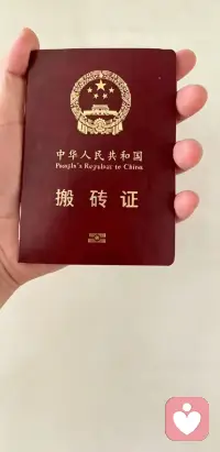 根在土里深扎，花在枝头自开，你踏稳每一步，风自然为你而来。配图