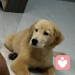 倾听你的所有的头像