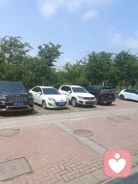 每个人都在告诉你不应该做这个，不应该做那个，你这个事情做错了，那个事情做错了。可这个世界上并没有绝对的对与错。你是独一无二的，你值得被看见。你也会享受阳光的普照。所以不要在意此此刻自己究竟有多么的痛苦，坚持相信自己，你就是最棒的。