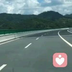 15966786的头像