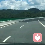 15966786的头像