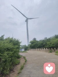 早上好，向阳而生，逐光而行！遇见更好的自己，加油！配图