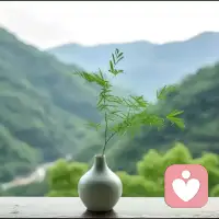 ，
接纳自己的不完美，允许情绪存在，不和别人一起欺负自己。当你开始真正接纳自己，改变就已经在发生！配图