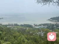 活到47岁，走过半生风雨，看过人情冷暖，终于把心里那点拧巴、委屈和小心翼翼，全都慢慢放下了。 年轻时，我也是个习惯讨好的人。总怕别人不高兴，怕自己一句话说错、一件事办砸，就惹得旁人疏远；总觉得自己不够好，配不上身边的情谊，所以说话做事都瞻前顾后，揣度着别人的心思，迁就着别人的情绪，把自己活成了别人口中“懂事”的女人。 朋友约饭，哪怕自己累得只想躺平，也硬撑着赴约，怕扫了大家的兴；家人有需求，哪怕自己分身乏术，也咬牙扛下所有，怕被说自私；就连普通同事相处，也处处忍让，从不拒绝，生怕得罪人，丢了那点看似珍贵的情面。那时候的我，把别人的感受放在第一位，唯独委屈了自己，以为这样就能留住所有感情，就能让关系长久。 可走着走着就发现，需要踮脚去维持的关系，终究站不稳；需要讨好才能留住的人，终究留不住。你越是迁就，对方越是得寸进尺；你越是卑微，感情越是廉价。那些靠讨好换来的相处，不过是表面的和气，藏着无尽的疲惫和心酸，稍有不慎，就会瞬间崩塌。 人到中年，慢慢活通透了。47岁的我，终于明白，最好的关系，从不是刻意讨好，也不是勉强将就，而是顺其自然，彼此舒服。 真正走心的感情，从来不用小心翼翼维系。夫妻之间，不用天天甜言蜜语，你懂我的柴米油盐辛苦，我知你的奔波劳碌不易，累了就各自安静，闲了就闲话家常，不用强装开心，不用刻意迎合；朋友之间，不用天天联系，不用没话找话，许久不见，再见面依旧无话不谈，你可以坦然说“我不想去”，也可以直接讲“我很累”，对方从不会多想，更不会怪罪。 因为彼此信任，这份感情，经得起沉默，也容得下疲惫；因为彼此懂得，不用勉强自己迁就，不用委屈自己讨好，相处起来轻松自在，没有负担。 半生已过，我不再勉强自己融入不适合的圈子，不再讨好那些不把我放在心上的人。学会了拒绝，学会了看淡，学会了把时间和精力，留给自己和值得的人。 不再为了别人的眼光委屈自己，不再为了虚无的情面为难自己，活得自在、活得坦荡，才是中年最好的状态。 人与人之间，最长久的相处，从来不是轰轰烈烈的讨好，而是平平淡淡的相守。配图