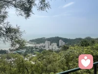 活到47岁，走过半生风雨，看过人情冷暖，终于把心里那点拧巴、委屈和小心翼翼，全都慢慢放下了。 年轻时，我也是个习惯讨好的人。总怕别人不高兴，怕自己一句话说错、一件事办砸，就惹得旁人疏远；总觉得自己不够好，配不上身边的情谊，所以说话做事都瞻前顾后，揣度着别人的心思，迁就着别人的情绪，把自己活成了别人口中“懂事”的女人。 朋友约饭，哪怕自己累得只想躺平，也硬撑着赴约，怕扫了大家的兴；家人有需求，哪怕自己分身乏术，也咬牙扛下所有，怕被说自私；就连普通同事相处，也处处忍让，从不拒绝，生怕得罪人，丢了那点看似珍贵的情面。那时候的我，把别人的感受放在第一位，唯独委屈了自己，以为这样就能留住所有感情，就能让关系长久。 可走着走着就发现，需要踮脚去维持的关系，终究站不稳；需要讨好才能留住的人，终究留不住。你越是迁就，对方越是得寸进尺；你越是卑微，感情越是廉价。那些靠讨好换来的相处，不过是表面的和气，藏着无尽的疲惫和心酸，稍有不慎，就会瞬间崩塌。 人到中年，慢慢活通透了。47岁的我，终于明白，最好的关系，从不是刻意讨好，也不是勉强将就，而是顺其自然，彼此舒服。 真正走心的感情，从来不用小心翼翼维系。夫妻之间，不用天天甜言蜜语，你懂我的柴米油盐辛苦，我知你的奔波劳碌不易，累了就各自安静，闲了就闲话家常，不用强装开心，不用刻意迎合；朋友之间，不用天天联系，不用没话找话，许久不见，再见面依旧无话不谈，你可以坦然说“我不想去”，也可以直接讲“我很累”，对方从不会多想，更不会怪罪。 因为彼此信任，这份感情，经得起沉默，也容得下疲惫；因为彼此懂得，不用勉强自己迁就，不用委屈自己讨好，相处起来轻松自在，没有负担。 半生已过，我不再勉强自己融入不适合的圈子，不再讨好那些不把我放在心上的人。学会了拒绝，学会了看淡，学会了把时间和精力，留给自己和值得的人。 不再为了别人的眼光委屈自己，不再为了虚无的情面为难自己，活得自在、活得坦荡，才是中年最好的状态。 人与人之间，最长久的相处，从来不是轰轰烈烈的讨好，而是平平淡淡的相守。配图