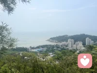 活到47岁，走过半生风雨，看过人情冷暖，终于把心里那点拧巴、委屈和小心翼翼，全都慢慢放下了。 年轻时，我也是个习惯讨好的人。总怕别人不高兴，怕自己一句话说错、一件事办砸，就惹得旁人疏远；总觉得自己不够好，配不上身边的情谊，所以说话做事都瞻前顾后，揣度着别人的心思，迁就着别人的情绪，把自己活成了别人口中“懂事”的女人。 朋友约饭，哪怕自己累得只想躺平，也硬撑着赴约，怕扫了大家的兴；家人有需求，哪怕自己分身乏术，也咬牙扛下所有，怕被说自私；就连普通同事相处，也处处忍让，从不拒绝，生怕得罪人，丢了那点看似珍贵的情面。那时候的我，把别人的感受放在第一位，唯独委屈了自己，以为这样就能留住所有感情，就能让关系长久。 可走着走着就发现，需要踮脚去维持的关系，终究站不稳；需要讨好才能留住的人，终究留不住。你越是迁就，对方越是得寸进尺；你越是卑微，感情越是廉价。那些靠讨好换来的相处，不过是表面的和气，藏着无尽的疲惫和心酸，稍有不慎，就会瞬间崩塌。 人到中年，慢慢活通透了。47岁的我，终于明白，最好的关系，从不是刻意讨好，也不是勉强将就，而是顺其自然，彼此舒服。 真正走心的感情，从来不用小心翼翼维系。夫妻之间，不用天天甜言蜜语，你懂我的柴米油盐辛苦，我知你的奔波劳碌不易，累了就各自安静，闲了就闲话家常，不用强装开心，不用刻意迎合；朋友之间，不用天天联系，不用没话找话，许久不见，再见面依旧无话不谈，你可以坦然说“我不想去”，也可以直接讲“我很累”，对方从不会多想，更不会怪罪。 因为彼此信任，这份感情，经得起沉默，也容得下疲惫；因为彼此懂得，不用勉强自己迁就，不用委屈自己讨好，相处起来轻松自在，没有负担。 半生已过，我不再勉强自己融入不适合的圈子，不再讨好那些不把我放在心上的人。学会了拒绝，学会了看淡，学会了把时间和精力，留给自己和值得的人。 不再为了别人的眼光委屈自己，不再为了虚无的情面为难自己，活得自在、活得坦荡，才是中年最好的状态。 人与人之间，最长久的相处，从来不是轰轰烈烈的讨好，而是平平淡淡的相守。配图