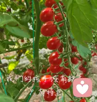我们的孩子没有缺点，只有特点配图