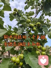 解决问题的一个关键步骤是确定未知数配图