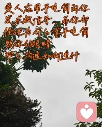 爱人在用手电筒向你发求救信号，而你却怪他为什么拿手电筒照你的眼睛
沟通要怎么进行呢配图