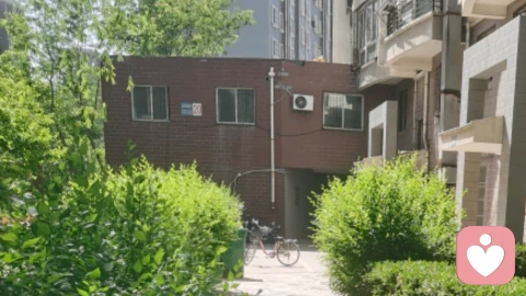 温柔治愈