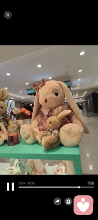 愿您在浮躁的世界里守住内心的温柔与力量