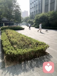 向内求的时候比改变别人舒服多了。
​向内探索的力量，会让我们在日复一日的自省里，慢慢活成自己喜欢的样子。
​愿所有人都能遇见更好的自己