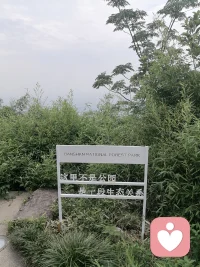 世界上没有别人，只有你自己，别人的纠缠执着控制，都是你自己内心跟自己起的各种纠缠，本来无一物，何处惹尘埃配图