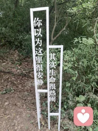 当你感到疲惫时，你不是强迫自己硬撑，而是给自己一个休息的许可，当你弥迷茫困惑时，不是逼着自己立刻找到答案，而是允许自己在不确定里待会儿。
很多人内心都有一个严历的批评者，每天都在挑自己的毛病，还有一个严历的被批评者，都在努力的证明自己，这种内在的暴力消耗，放大的心理能量，让人精疲力竭。配图