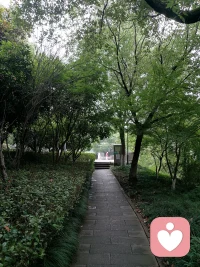 的心情和天气一样，会上下起伏，有时需要适当倾诉和情绪释放配图