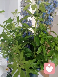 那些没被人看见，被人理解过，堵在心里没人懂的情绪和委屈，太久没被人理解过，试着说出来，这本身也是一种治愈。配图
