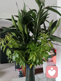 当一个人情绪低落到一定程度时，你需要的是自救，开启一段心灵与心灵的碰撞与对话配图