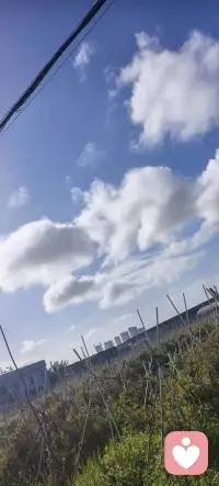 真正的疗愈，从来不是强迫自己放下、
而是被看见、被理解、被包容、
无解的情绪、难言的遗憾。
我始终相信，每一次真诚的倾诉，
都是一次心生，我愿做你专属的倾听者，
耐心梳理情绪，陪你接纳不完美的自己，
拆解生活中的难题，从拾内心的安稳与从容。