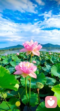 你的故事，我来倾听


Hey，朋友～

最近是不是也有一些情绪，

藏在心里找不到出口？

有些话，想对人说，

却又怕被评判、怕不被理解？

别担心，【倾听心声】

🌿 这里是穿越时空的温暖聆听

在这个小小的空间里，你可以：

• 自由表达所有情绪：喜悦、忧愁、痛苦、孤独……

• 倾诉藏在心底的故事，不必担心被任何人评判

• 被认真倾听、被温柔理解、被稳稳拥抱

我们相信：每一种声音都值得被听见，每一个故事都值得被理解。

📮 我们能为你做什么？

1. 心事倾诉·烦恼解忧

把烦恼丢进这里，我们会用同理心与共情力，认真回应你的每一次倾诉，不评判、不敷衍，只给你最真诚的关注与支持。

2. 生活日记·匿名故事

记录生活碎片，分享匿名故事，让那些无法对身边人说的话，在这里找到安放的角落。

3. 隐私保护·绝对安心

没有人会追问你是谁，所有心情都可以安全藏在这里，做最真实的自己。

4. 温暖陪伴·避风港湾

无论你正经历人生低谷，还是渴望在忙碌中寻得一丝宁静，这里都是你的避风港，我们会陪你熬过那些难捱的时刻。