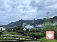 专属情绪树洞｜倾听心事｜陪聊解压｜全程保
树洞虽小，能装下你所有说不出口的委屈、压力、迷茫和坏情绪✨
没人懂的心酸、工作的疲惫、感情的纠结、日常无处安放的碎碎念，都可以放心和我说。
✅ 全程纯文字聊天，不露脸、不加私人微信
✅ 严格保密、温柔耐心、不评判、不说教
✅ 在线秒回，随时都可以找我
✅ 只倾听、纯陪伴、帮你清空所有负面情绪配图