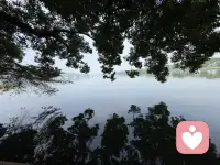 向往自由，幻想生活多么美好，却总被现实压弯了腰配图