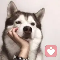 众生皆苦，唯有自渡，这不过是一个来自于成年人的自救！你放心，苦的不只有你一人，不尝受苦，何来醒悟和解脱！配图