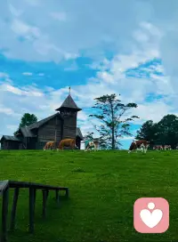 阿嬷说:做人得有情义，无情无义的人，不能交往。人到了一定的年纪，就会发现,真正需要的不是婚姻，而是一个精神寄托，一个能说话的人，能听你说话，能听懂你说话，能听你说废话的人,一个在你受委屈的时候陪着你,并且不分青红皂白就偏向你的人。这看似简单的想法，你得有多幸运才能遇到，肉体相伴比比皆是，但灵魂共鸣却廖寥无几。这些是人生的奢侈品。可遇不可求。所以，我们缺的不是伴侣，缺的是一段可以彼此照亮，能够真正相互滋养的亲密关系，有的时候，你找个伴并不是什么难事儿,难得是走心，难的是那种激情退去后的依赖和心疼。这个世界上什么都不缺，因为很多东西都是可以靠努力得到的，唯独拥有一个有情有义的爱人是很难很难!配图