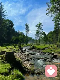 阿嬷说:做人得有情义，无情无义的人，不能交往。人到了一定的年纪，就会发现,真正需要的不是婚姻，而是一个精神寄托，一个能说话的人，能听你说话，能听懂你说话，能听你说废话的人,一个在你受委屈的时候陪着你,并且不分青红皂白就偏向你的人。这看似简单的想法，你得有多幸运才能遇到，肉体相伴比比皆是，但灵魂共鸣却廖寥无几。这些是人生的奢侈品。可遇不可求。所以，我们缺的不是伴侣，缺的是一段可以彼此照亮，能够真正相互滋养的亲密关系，有的时候，你找个伴并不是什么难事儿,难得是走心，难的是那种激情退去后的依赖和心疼。这个世界上什么都不缺，因为很多东西都是可以靠努力得到的，唯独拥有一个有情有义的爱人是很难很难!配图