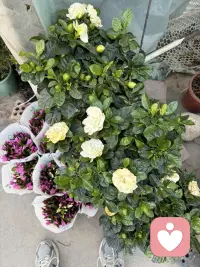 做专属你的情绪避风港
聆听心声，排解烦忧
用日常积攒的暖意，温柔回应每份倾诉
守好你的秘密，陪你与生活和解
我是一名倾听师