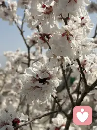 做专属你的情绪避风港
聆听心声，排解烦忧
用日常积攒的暖意，温柔回应每份倾诉
守好你的秘密，陪你与生活和解
我是一名倾听师
