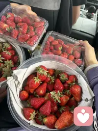 做专属你的情绪避风港
聆听心声，排解烦忧
用日常积攒的暖意，温柔回应每份倾诉
守好你的秘密，陪你与生活和解
我是一名倾听师