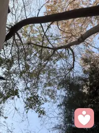 有人不开心的事可以告诉我哟，我们起来聊一聊哦开心，开开心心的不知道为什么我这边在下雪，你那边呢？什么天气呢？