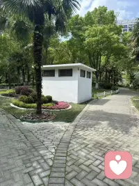 我是可以接挨骂单，欢迎下单！配图