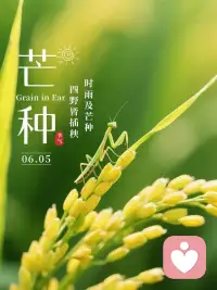 “忙”有所得，“种”有所获。
愿所有的等待，都不被辜负，
所有的美好，都不期而遇☀️