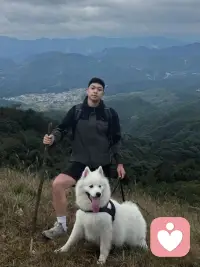 需求感越高，在关系里越被动，内核稳定才是顶级吸引力。 
​
体验生活中的每一次馈赠，在觉察中去感知自己。配图
