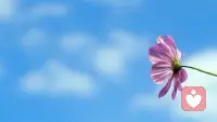 典型的“绩效型婚姻”——赢了道理，输了感情。

❶ 算经济账：钱多=话语权？其实是权力之争。
❷ 算辛苦账：比谁更累？其实都在渴望“被看见”。
❸ 算责任账：做完KPI就行？其实缺了心的连接。

真正的婚姻，不是五五分账，而是“我们VS问题”，不是“我VS你”。

如果你也在婚姻里感到委屈、内耗，明明两个人都在付出，却总觉得像在合租——别硬扛，很可能是你们的“共同体感”断了。

我是做情感咨询的，见过太多人把日子过成了对手。如果你正面临类似的困局，不知道怎么调整，欢迎来找我聊聊。

👉私信我“婚姻”，获取一次情感梳理分析。配图