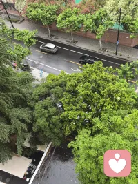 清晨的雨格外舒心配图