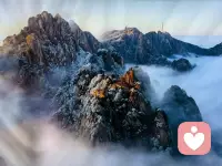 美与不美？
不美，是因为看过更美的
美的只是在你眼中配图