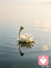 读懂投射心理便会明白，我们和任何人的相处，归根到底是和自己相处。
父母、爱人、孩子，都是内心世界投射出的镜像。外界的矛盾只是表象，学会接纳、和解内在的自己，才能理顺身边所有关系。